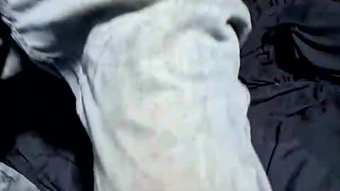 Buster18Hymen online show from October 21, 7:36 pm