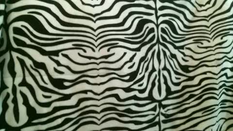 bustinfree online show from January 12, 2:55 pm