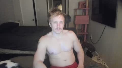 Snapshot of c00ki3m0nstr chatting on June 19, 2:27 am c00ki3m0nstr online show from June 19, 2:27 am