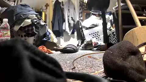 c547409 online show from October 21, 10:32 pm