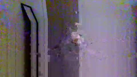 c95uk online show from October 12, 1:21 pm