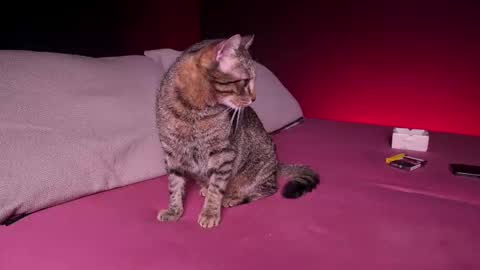 Snapshot of c_o_n_q_u_e_r chatting on February 24, 7:44 am CQ online show from February 24, 7:44 am