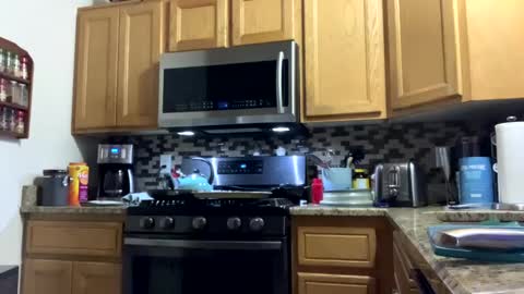 Snapshot of calishop1 chatting on December 15, 3:56 am calishop1 online show from December 15, 3:56 am