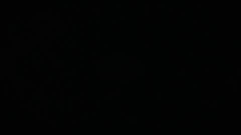 Charly online show from March 17, 11:57 am