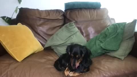 CamDoAttitude online show from April 18, 11:58 am