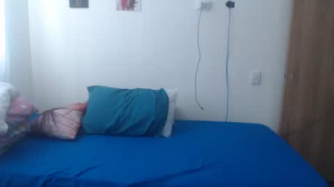 Snapshot of camila_rouswhyth chatting on December 5, 2:36 pm camila_rouswhyth online show from December 5, 2:36 pm