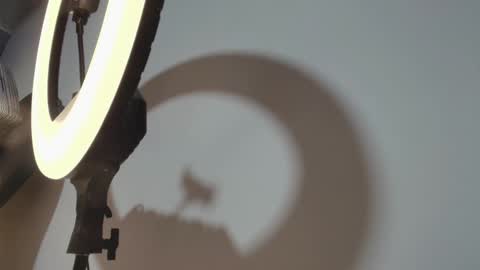 CAMILO  online show from March 15, 1:06 pm