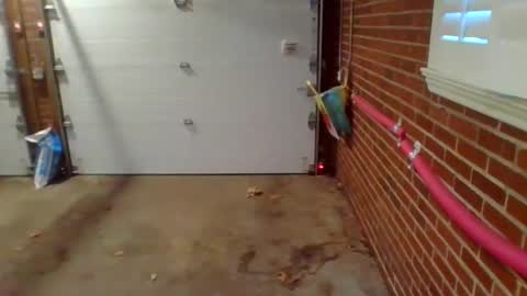 cammyman6900 online show from December 9, 1:34 pm