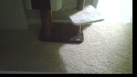 cammyman6900 online show from September 21, 4:47 am