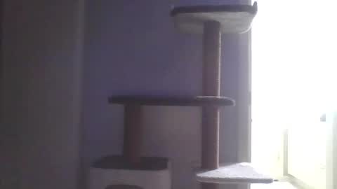 Snapshot of cammyman6900 chatting on November 9, 4:55 am cammyman6900 online show from November 9, 4:55 am