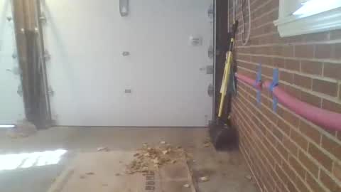 Snapshot of cammyman6900 chatting on November 13, 4:28 pm cammyman6900 online show from November 13, 4:28 pm