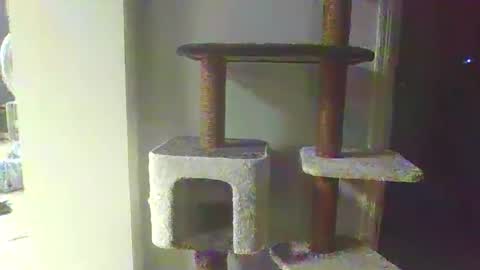 Snapshot of cammyman6900 chatting on November 20, 4:34 am cammyman6900 online show from November 20, 4:34 am