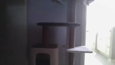 Snapshot of cammyman6900 chatting on November 21, 4:22 am cammyman6900 online show from November 21, 4:22 am