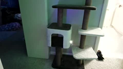 cammyman6900 online show from May 12, 4:31 am