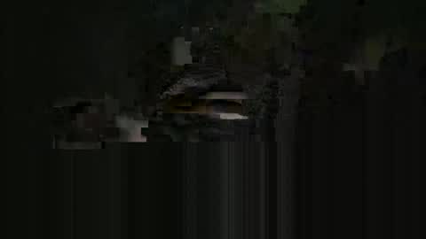 supersexycardie online show from May 16, 4:09 am