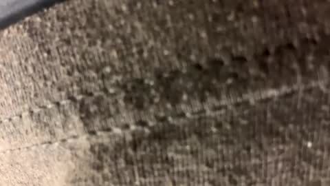 Carl1616 online show from April 21, 1:42 am