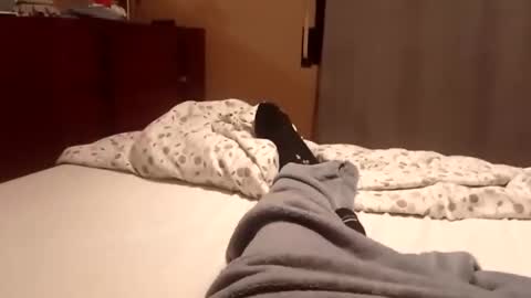 Snapshot of carlitito1 chatting on October 6, 7:17 am carlitito1 online show from October 6, 7:17 am