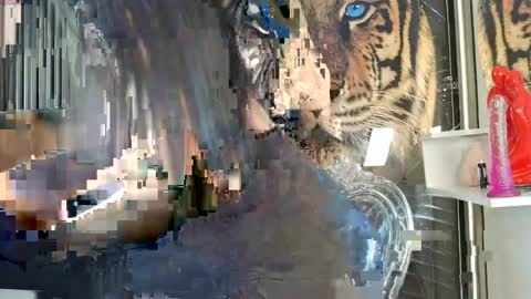 Carolay online show from April 14, 3:45 am