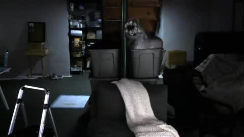 Snapshot of carltun1974 chatting on February 4, 8:02 am Carl online show from February 4, 8:02 am