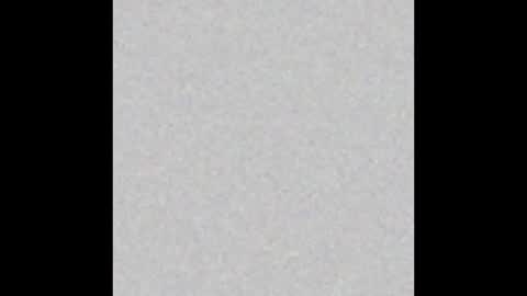 carolina online show from December 14, 3:51 am