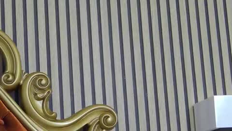 carolinahart online show from March 24, 6:51 am