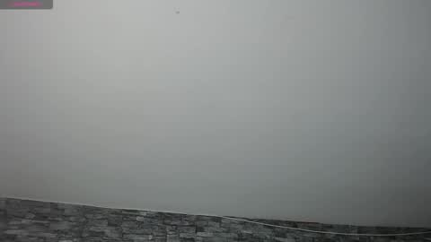 Snapshot of carolinajamess chatting on November 17, 11:32 pm Camelia online show from November 17, 11:32 pm