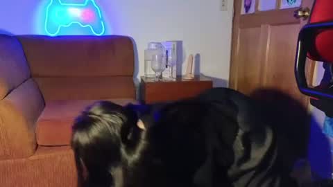 kitty online show from December 7, 5:15 am