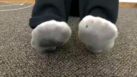 Snapshot of cash13bychanel chatting on November 14, 7:34 pm cash13bychanel online show from November 14, 7:34 pm