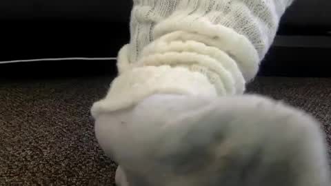 Snapshot of cash13bychanel chatting on December 4, 7:00 pm cash13bychanel online show from December 4, 7:00 pm