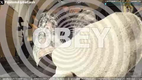 Snapshot of cashmastergrey chatting on May 15, 4:08 am Master Grey online show from May 15, 4:08 am