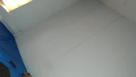 Snapshot of cassandra_delighty chatting on February 23, 8:39 am cassie online show from February 23, 8:39 am