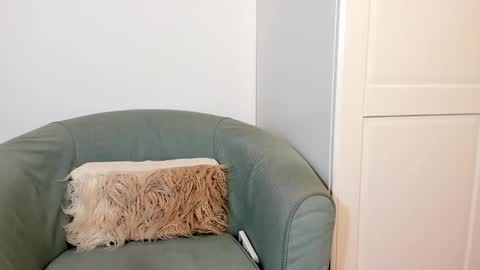 Snapshot of cassieandmarco chatting on October 27, 11:03 am cassiecute - onlyfans account online show from October 27, 11:03 am