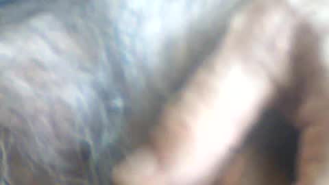 castells online show from July 2, 2:56 pm