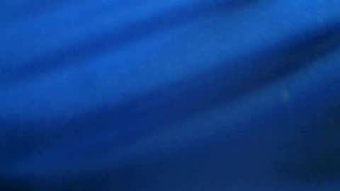 castells online show from July 3, 4:13 pm
