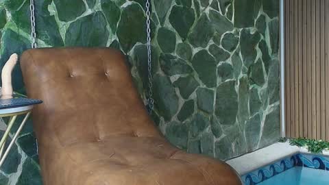 Dani   online show from April 2, 3:09 pm