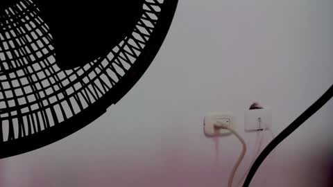 Snapshot of catalaia_stomm chatting on January 17, 1:24 pm catalaia_stomm online show from January 17, 1:24 pm