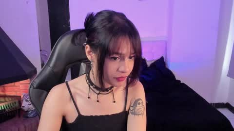 Cat  online show from December 24, 4:30 pm