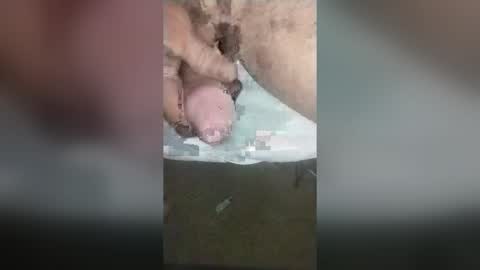 catdaddy179057 online show from June 14, 3:14 pm
