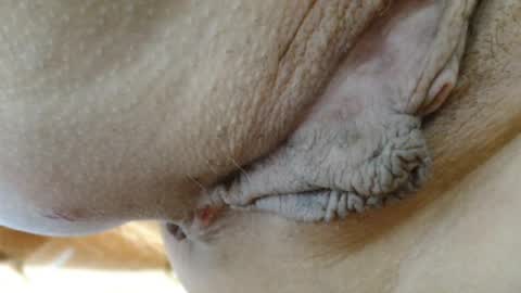 ANNYANNY online show from March 24, 5:51 pm