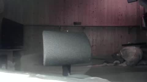 Snapshot of cd_99 chatting on January 7, 9:25 pm cd_99 online show from January 7, 9:25 pm