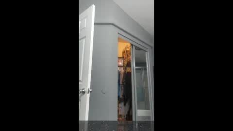 cdlisaann online show from March 15, 2:56 pm