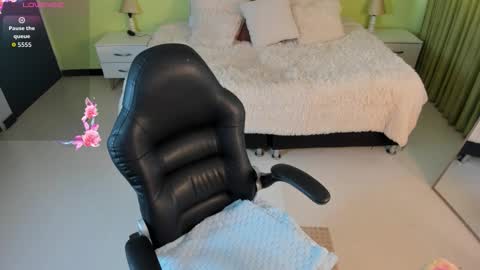 Snapshot of celeste_rous__ chatting on February 14, 12:24 pm Celeste online show from February 14, 12:24 pm