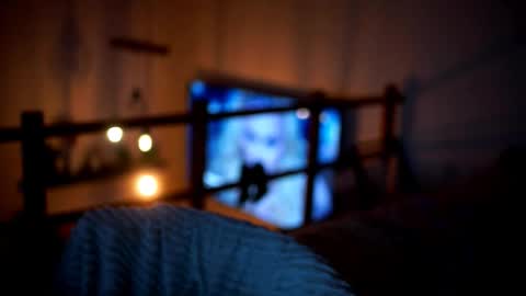 Sunflower  online show from February 14, 5:10 pm