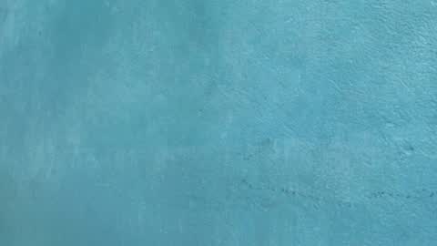 Celestial online show from March 28, 2:27 pm