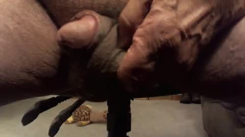 centaur629 online show from February 13, 2:40 am