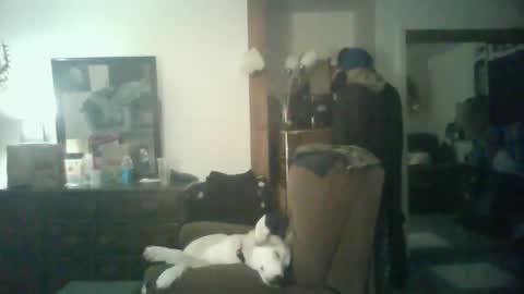 Snapshot of chad_the_blatalian chatting on October 29, 5:42 am GigaChad online show from October 29, 5:42 am