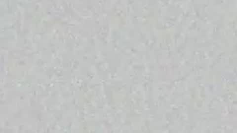 oilmeup online show from April 6, 7:42 am