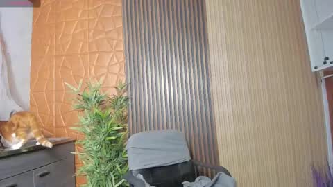 Charlotte  Everyday From 0700 to 1300 Col Time online show from February 17, 11:02 am