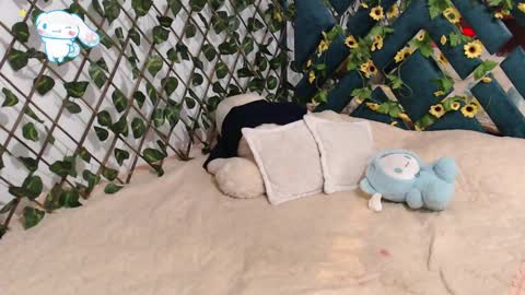 charly_evans60 online show from February 19, 12:14 am