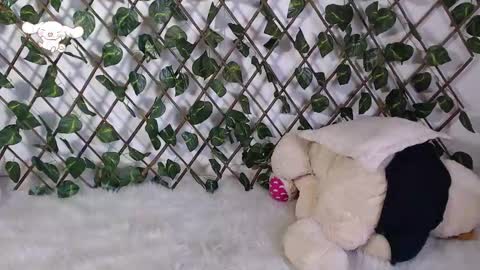 charly_evans60 online show from February 25, 9:57 pm